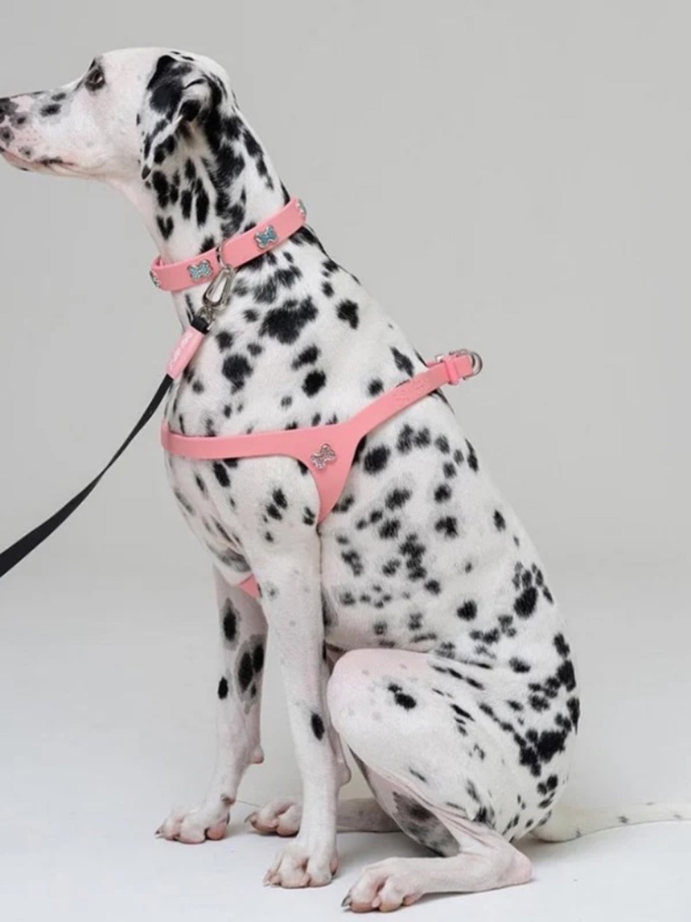 Bonefly Swarovski Bone Detail 24” Adjust Harness w/ 4 ft leash & waste bag